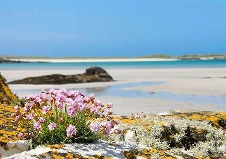 Wild Atlantic Stay Guest House Self-Catering Inverin Exterior photo
